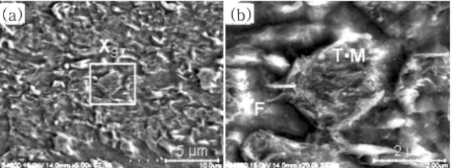 Fig.  10  SEM  micrographs  of  softening  zone  and  (b)  enlarged  SEM  micrographs  of  the  area  marked  XSZ  in  (a)