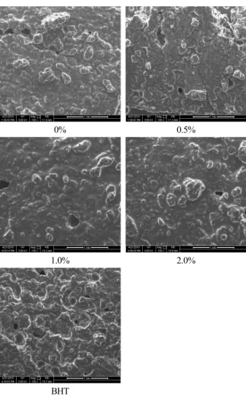 Fig.  2.  Scanning  by  electonic  microscope  of  Yakgwa  made  with  different  lentil  extracts  level  (×100).