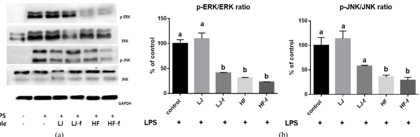 Fig.  2.  Effects  of  LJ,  HF,  LJ-f,  and  HF-f  on  phosphorylation  of  ERK  abd  JNK  in  LPS-stimulated  RAW264.7  macrophages.