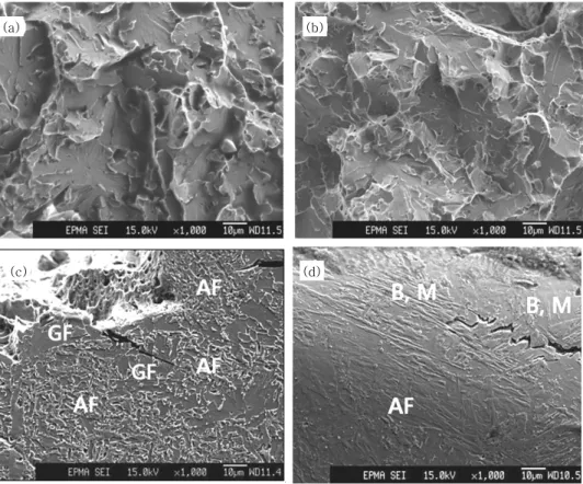 Fig. 12  SEM micrographs showing fracture surfaces of (a) 600 MPa grade, (b) 800 MPa grade weld metal,  and cross section of (c) 600 MPa, (d) 800 MPa grade weld metal