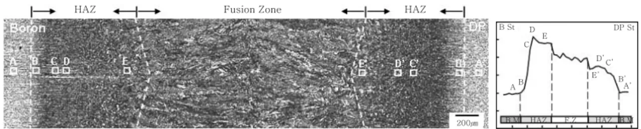 Fig. 10  Optical microstructures near weld with welding speed of 2m/min. 