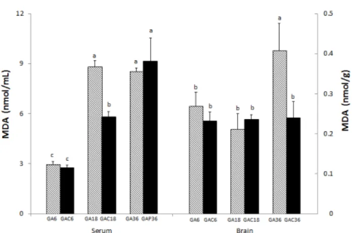 Fig.  2.  Effects  of  chronic  consumption  of  liquor  prepared  with  Gastrodiae  rhizoma  on  MDA  levels  in  serum  of  rats