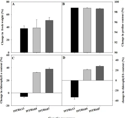 Fig. 1. Effect of salinity stress (400 mM NaCl) in shoot fresh weight (A), proline content (B), chlorophyll a content (C), and chlorophyll b content (D)  in the seedlings of the susceptible (19TRS13), moderately resistant (19TRS04) and resistant (19TRS07) 