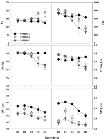Fig. 2. Changes in the chlorophyll fluorescence (CF) parameters of  tomato genetic resources during the different stress time