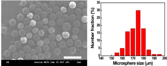 Fig. 4. (a) SEM images and (b) size distribution of porous PLA microsphere prepared at continuous flow rate of 10 ml/min