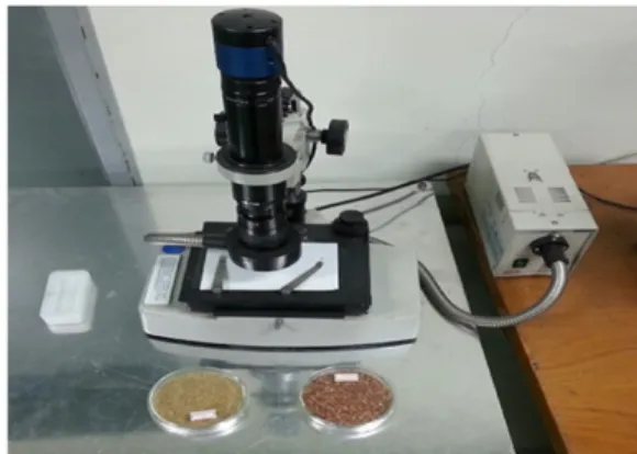 Figure 1. Multimedia video microscope (Scope 2001).