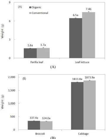Fig.  1.  Comparison  of  the  organic  and  conventional  agri-  cultural  practice  on  the  weight  of  leafy  vegetables  (A)  and  stem  vegetables  (B).