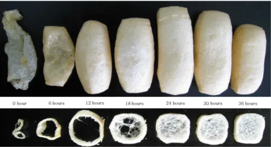 Fig.  6.  Appearance  and  cross  section  of  Yukwa  base  with  various  levels  of  drying  time.인 본 연구와 같은 범위에 속하였다