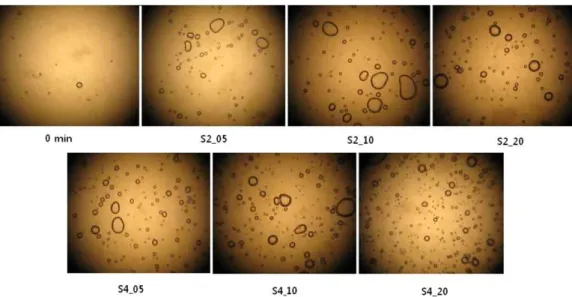 Fig.  2.  Air  cell  structure  of  Yukwa  dough  with  various  levels  of  punching  speed  and  time  (×40) 1) .