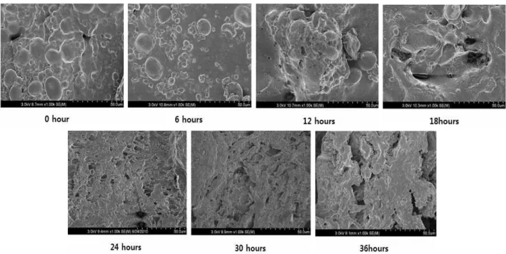 Fig.  5.  Scanning  electron  micrographs  of  Yukwa  Bandegi  with  various  levels  of  drying  time  (×1,000).