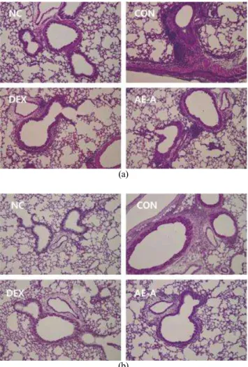 Fig.  6.  Effect  of  AE-A  on  IgE  level  in  serum.