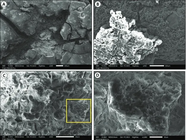 Figure  4.  Exfoliated  micro  sample  SEM  image  by  salt  damage.  (A)  Surface  micro-structure  of  glaze  layer,  (B,  C)  Pillar-shaped  salt,  (D)  Sectional  crystal  structure  of  salt.