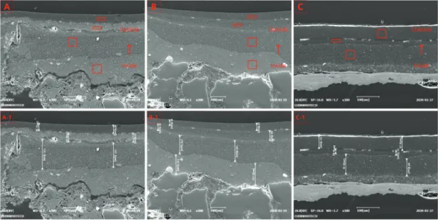 Figure  5.  Photo  of  sectional  observation  by  scanning  electron  microscope  and  photo  of  measurement  of  the  thickness  of a  piece  (A,  A-1:  “Self-portrait  of  Modern  People(Under  construction)”,  B,  B-1:  “The  woman  who  is  getting  