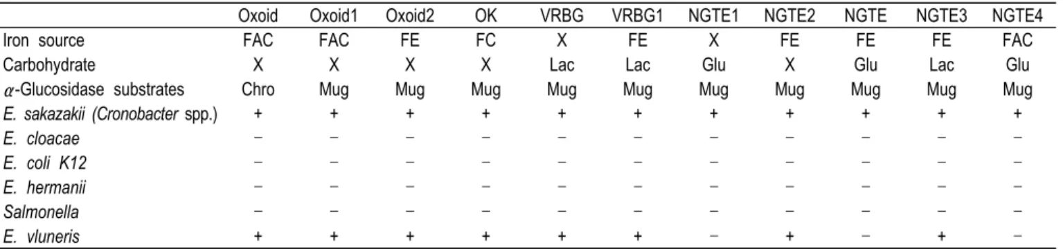 Table  8.  The  effective  of  various  iron  sources  to  remove  false  positive  as  E