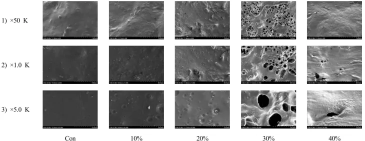 Fig.  1.  Change  in  scanning  electron  microscope(SEM)  of  Heunmi-ssuck-injeolmi.