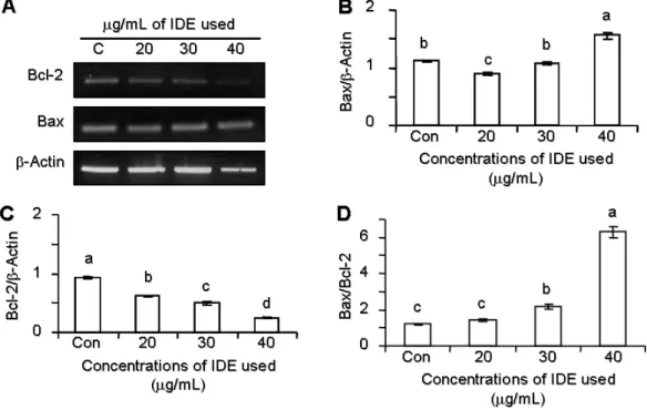 Fig.  5.  Effects  of  Ixeris  dentata  extract  (IDE)  on  Bax,  Bcl-2,  Bax/Bcl-2  ratio  in  MDA-MB-231  cells.