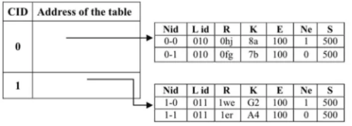 Fig. 2. Cluster head structure