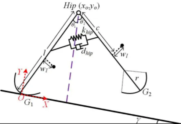 Fig. 1. Model of passive dynamic walker 