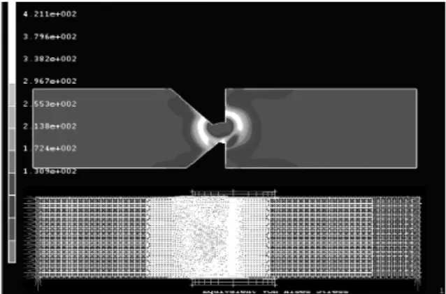 Fig. 3  Expanded 3D model  기계노치  선단에서부터의  피로  예균열  진전이  폭에 