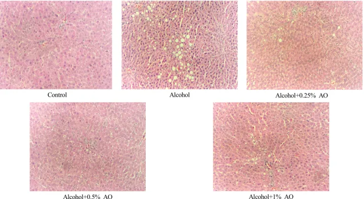 Fig.  1.  Effects  of  various  levels  of  aloe  in  micrograph  of  hepatic  histology  in  rats  (×100).