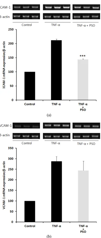 Fig.  4.  Effect  of  pumpkin  seed  oil(PSO,  0.1  mg/mL)  on  the  intracellular  adhesion  molecule-1(ICAM-1,  a)  and  vascular  cell  adhesion  molecule-1(VCAM-1,  b)  mRNA  expression  in  a  HUVECs.