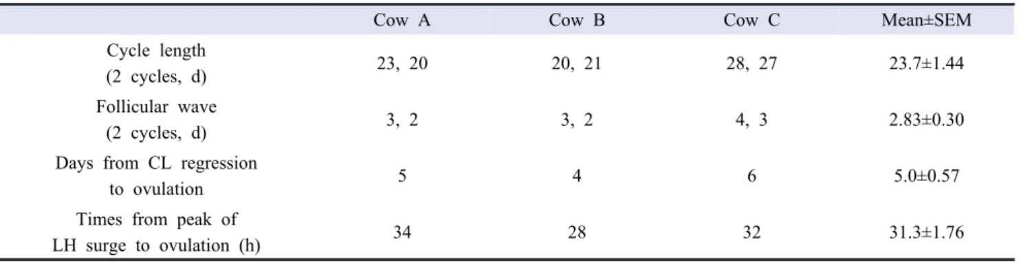Table 1.  General parameters, including cycling estrous cycle length, the number of follicular wave and time from corpus luteum regression or LH surge to ovulation in three cows