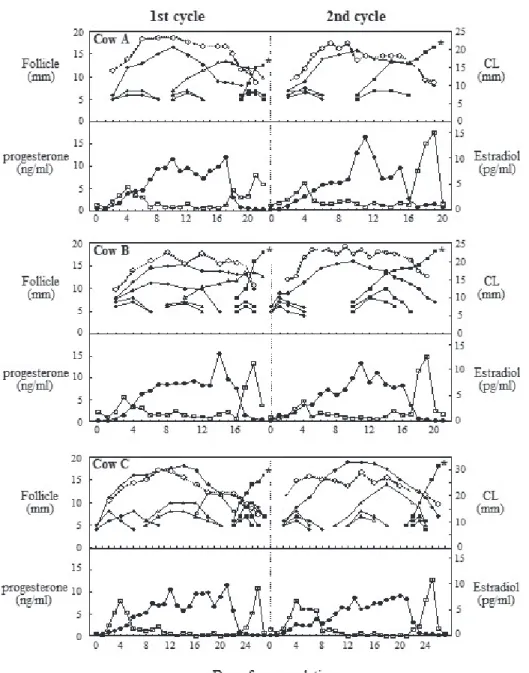 Figure 1.   Patterns  of  follicular  development  (l),  diameter  of  corpus  luteum  (¤)  and  plasma  concentrations  of  progesterone  (l: bottom  panel  in  each  cow)  and  estradiol  (o)  hormones  during  the  two  consecutive  estrous  cycles  of 