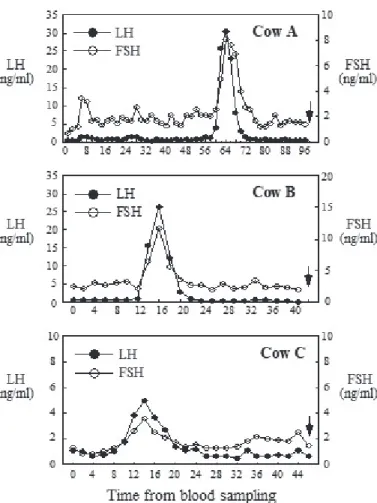 Figure  2.  Profiles  of  plasma  concentrations  of  luteinizing  hormone  (LH)  and  follicle-stimulating  hormone  (FSH)  between  the next  day  of  confirmation  of  corpus  luteum  regression  and  ovulation  in  three  cows  (Cow  A,  Cow  B  and  C