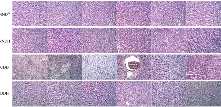 Fig.  4.  Histological  examination  of  hepatic  tissues  in  the  experimental  rats  (BA410,  Magnification  Plan  10×/0.25  NA,  Moticam  2500,  5.0  M  pixel  USB  2.0)  for  5  weeks.