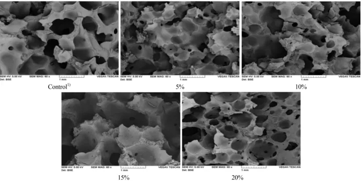 Fig.  5.  Scanning  electron  micrographs  of  jeung-pyun  prepared  with  the  different  ratio  of  extracted  ju-bak  powder(mag-  nification  ratio:  60×).