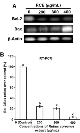 Fig.  4.  The  effect  of  Rubus  coreanus  extract  (RCE)  on  Bcl-2  and  Bax  gene  expressions  in  breast  cancer  MDA-MB-  231  cells.