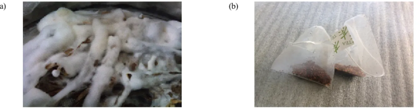Fig.  1.  The  picture  of  fermented  deodeok  (a)  and  deodeok  tea  (b)  with  Pleurotus  eryngii  mycelia.