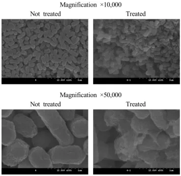 Fig.  5.  Scanning  electron  micrographs  of  S.  aureaus  treated  with  Cornus  officinalis  ethanol  extract.
