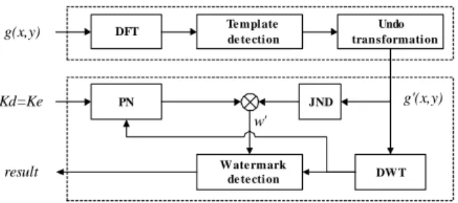 Fig. 5 Flowchart of the detection process. 
