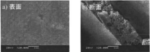 Table 2  Ag-Pd 나노 합금 입자 paste NAGNPD8515 를 이용한 전도막의 평가 (기재: 알루미나) 소성조건 두께 ㎛ 비저항  μΩ cm 300℃ / 30분 400℃ / 30분 500℃ / 30분 1.51.41.1 12.110.48.41성  유지  시간  30∼60분에  설정하는  것이  가능하다