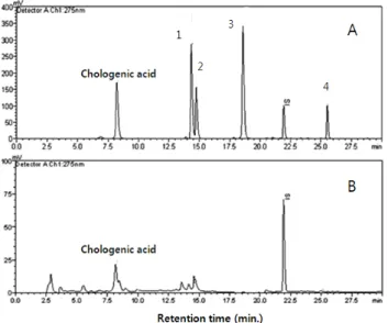 Fig.  4.  HPLC  chromatograms  of  extract  of  Lonicera  ja- ja-ponica  Thunb.  (A)  chromatogram  of  authentic  standards