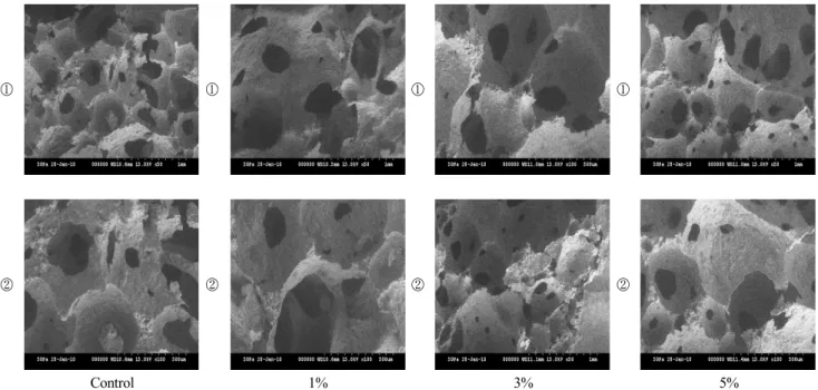Fig.  2.  Micrographs  of  the  yellow  layer  cake  with  mulberry  powder.