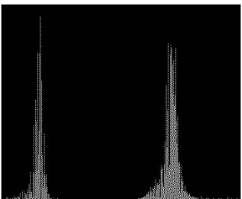 Fig. 1 Image acquisition setup. 