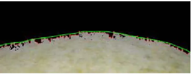 Fig. 7 Mango size parameters defined by  Vasquez-Caicedo et al. [11].  pole tip L W Minor axis Major axis 