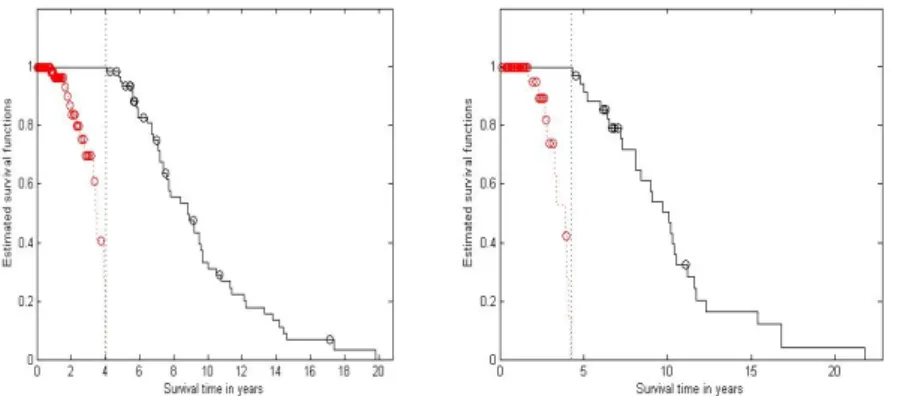 Figure 4.2 Survival function estimators for two risk groups of training data (left) and test data (right)