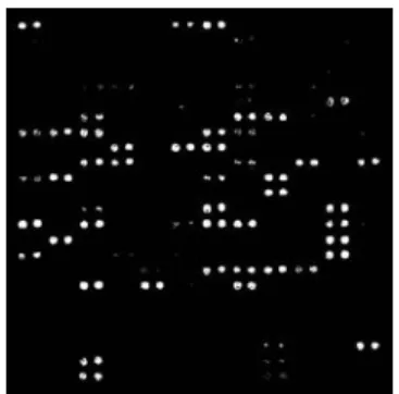 Fig. 3 Binary Image of cDNA that is used in experiment 