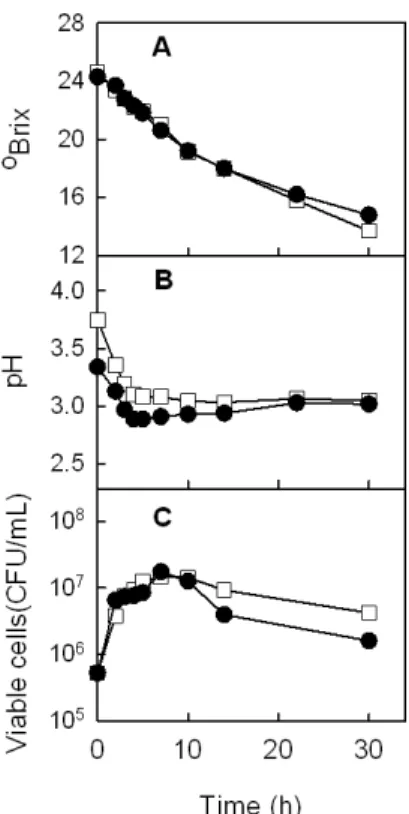 Fig.  1.  Changes  of  sugar  concentration  (°Bx)  (A),  pH  (B),  and  viable  yeast  cells(colony  forming  unit/mL)  (C)  of  Pinus  densiflora-honey  wine  and  honey  wine  from  alcohol   ferenta-tion  at  20 ℃ for  30  days