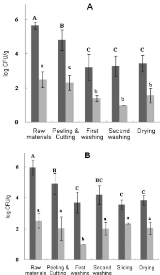 Fig.  2.  Microbiological  contamination  levels  of  fresh  cut  lettuce(A)  and  cabbage(B)  during  processing.