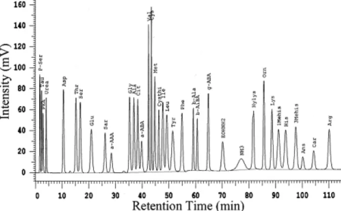 Fig.  1.  Standard  amino  acid  chromatogram  by  HPLC.