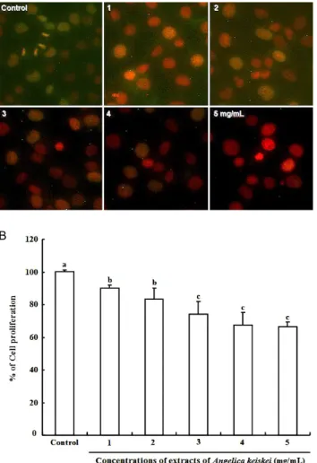 Fig.  4.  The  effect  of  Angelica  keiskei  extract  on  cell  pro- pro-liferation  revealed  by  BrdU  incorporation  in  human  breast  cancer  MDA-MB-231  cells  at  different  concentrations.