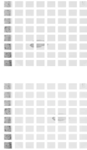 Fig 2 Block Matching Motion Estimation 