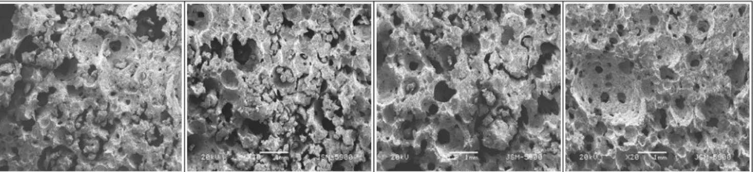 Fig. 2. Micrographs of bread crumbs muffin added with Chungkukjang powder.