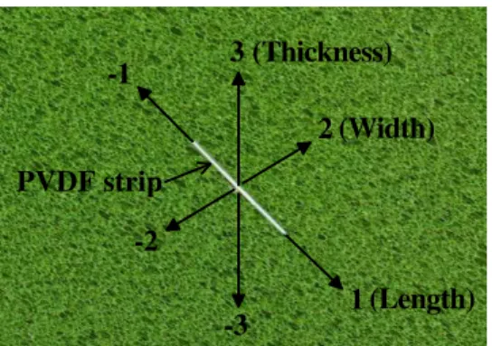 Fig. 2. Reference axes in PVDF strip