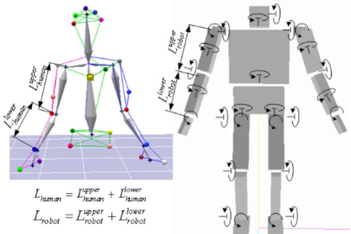 Fig. 1. The upper body of a human in capturing (left) and a hu- hu-manoid having 27 degrees of freedom (right).