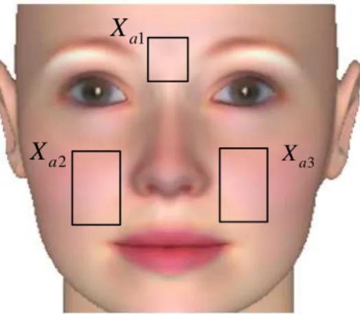 Fig. 7. Feature in auxiliary region. Table 3. Features in auxiliary region.